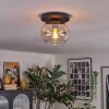Apedo lampa sufitowa, kula świetlna bursztynowy, przezroczysty, 1-punktowy