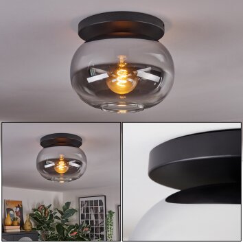 Apedo lampa sufitowa, kula świetlna przezroczysty, przydymiony, 1-punktowy