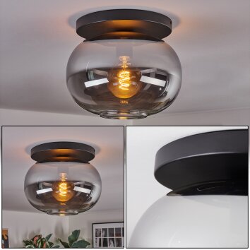 Apedo lampa sufitowa, kula świetlna przydymiony, 1-punktowy