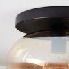 Apedo lampa sufitowa, kula świetlna bursztynowy, przezroczysty, 1-punktowy