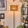 Cando lampa stojąca kolory naturalne, czarny, 1-punktowy
