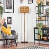 Cando lampa stojąca kolory naturalne, czarny, 1-punktowy