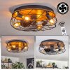 Tourais lampa sufitowa, wentylator sufitowy z oświetleniem LED wygląd drewna, czarny, 4-punktowe, Zdalne sterowanie