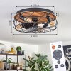 Tourais lampa sufitowa, wentylator sufitowy z oświetleniem LED wygląd drewna, czarny, 4-punktowe, Zdalne sterowanie