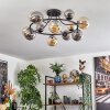 Chehalis lampa sufitowa, kula świetlna 76 cm bursztynowy, przydymiony, 12-punktowe