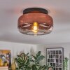 Boza lampa sufitowa, kula świetlna przezroczysty, miedziany, 1-punktowy