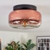 Boza lampa sufitowa, kula świetlna przezroczysty, miedziany, 1-punktowy