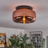 Boza lampa sufitowa, kula świetlna miedziany, 1-punktowy
