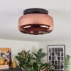 Boza lampa sufitowa, kula świetlna miedziany, 1-punktowy
