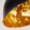 Hofstein Nome Lampa sufitowa Czarny, 1-punktowy