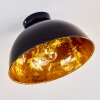 Hofstein Nome Lampa sufitowa Czarny, 1-punktowy