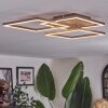 Brina lampa sufitowa LED brązowy, złoty, 1-punktowy