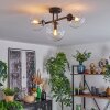 Gastor Lampa sufitowa, Kula świetlna Przezroczysty, 3-punktowe