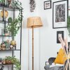 Cavaca lampa stojąca kolory naturalne, 1-punktowy