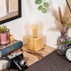 Tallsebo lampa stołowa kolory naturalne, 1-punktowy