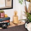 Tallsebo lampa stołowa kolory naturalne, 1-punktowy