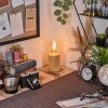 Tallsebo lampa stołowa kolory naturalne, 1-punktowy