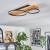Pompu lampa sufitowa LED kolory naturalne, czarny, 1-punktowy