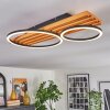 Pompu lampa sufitowa LED kolory naturalne, czarny, 1-punktowy