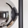 Koyoto lampa stojąca bursztynowy, chrom, przydymiony, 3-punktowe