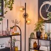 Koyoto lampa stojąca bursztynowy, przezroczysty, przydymiony, 3-punktowe
