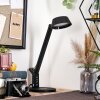 Falon lampka biurkowa, lampa stołowa, lampka do czytania LED czarny, 1-punktowy