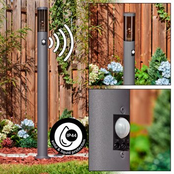 Sessa słupek ogrodowy antracytowy, 1-punktowy, Czujnik ruchu