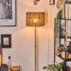 Cando lampa stojąca kolory naturalne, 1-punktowy