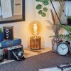 Argea lampka biurkowa, lampa stołowa kolory naturalne, czarny, 1-punktowy