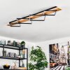Pompu lampa sufitowa LED kolory naturalne, czarny, 1-punktowy