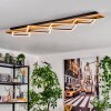 Pompu lampa sufitowa LED kolory naturalne, czarny, 1-punktowy