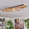 Pompu lampa sufitowa LED kolory naturalne, czarny, 1-punktowy