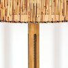 Cando lampa stojąca brązowy, kolory naturalne, czarny, 1-punktowy