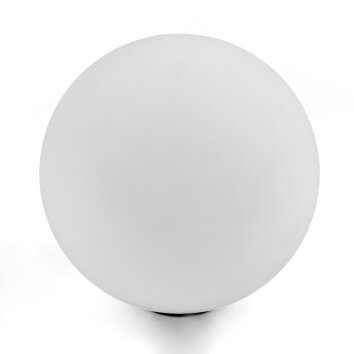 Chehalis Wymiana szkła, część zamienna 12 cm Biały Chehalis Wymiana szkła, część zamienna 12 cm Biały