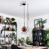 Gastor lampa wisząca, kula świetlna, lampa wisząca miedziany, 1-punktowy