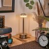 Viada lampka biurkowa, lampa stołowa LED chrom, nikiel matowy, 1-punktowy