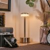 Viada lampka biurkowa, lampa stołowa LED chrom, nikiel matowy, 1-punktowy