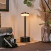 Viada lampka biurkowa, lampa stołowa LED czarny, 1-punktowy