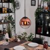 Gastor Lampa wisząca, Kula świetlna, Lampa wisząca Przezroczysty, W kolorze miedzi, 1-punktowy