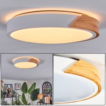 Cadaixo lampa sufitowa, panel LED kolory naturalne, biały, 1-punktowy