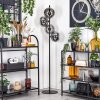 Apedo Lampa stojąca Przydymiony, 4-punktowe