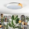 Cadaixo lampa sufitowa, panel LED biały, 1-punktowy