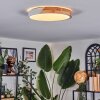 Cadaixo lampa sufitowa, panel LED biały, 1-punktowy
