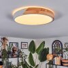 Cadaixo lampa sufitowa, panel LED biały, 1-punktowy