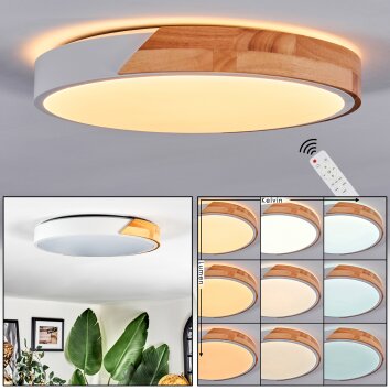 Cadaixo lampa sufitowa, panel LED biały, 1-punktowy