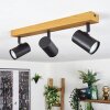 Gesteira lampa sufitowa, spot sufitowy kolory naturalne, czarny, 3-punktowe