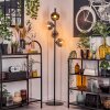 Ripoll Lampa stojąca Chrom, Przezroczysty, Przydymiony, 4-punktowe