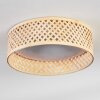 Barroco lampa sufitowa LED kolory naturalne, biały, 1-punktowy