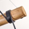 Ripoll lampa wisząca, kula świetlna, lampa wisząca kolory naturalne, czarny, 5-punktowe