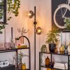 Koyoto Lampa stojąca W kolorze bursztynu, Przezroczysty, Przydymiony, 3-punktowe